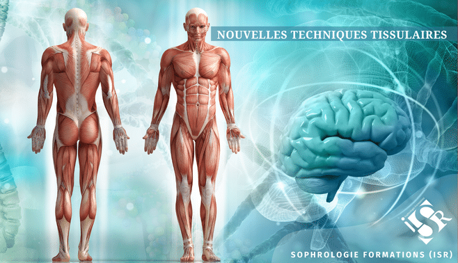 nouvelles-techniques-tissulaires-arnaud-hayaert