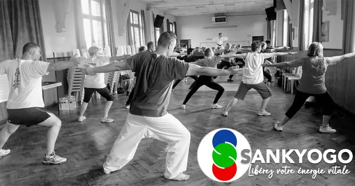 Sankyogo Libérez votre energie vitale Sankyogo Libérez votre energie vitale