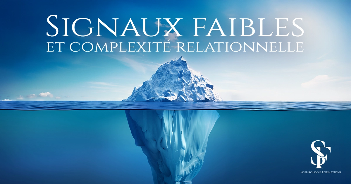Formation Signaux faibles et complexité relationnelle